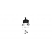 FP-P0346
